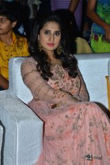 Ammammagarillu Movie Pre Release Function Photos